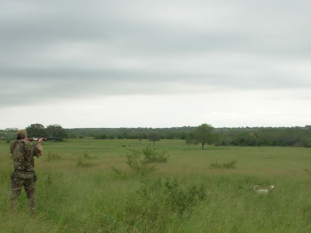 South Zone Upland Game Hunt