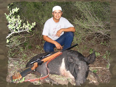 Wild Boar Hunting