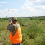 pheasant-hunt-2