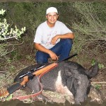 wild-boar-400-2
